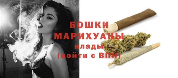 винт Мегион