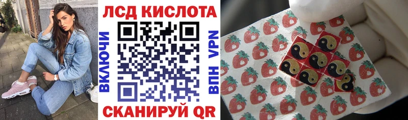 OMG   Юрьевец  Наркотические марки 1,5мг 